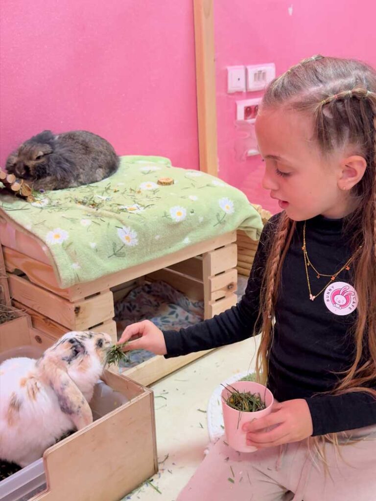 באני-קפה-קרוליצ’ה-קביארניה