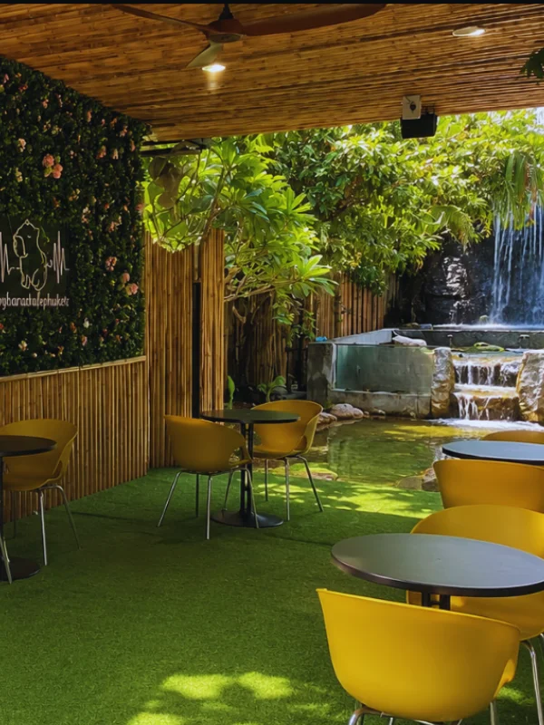 Capybara Coffee Phuket Laguna