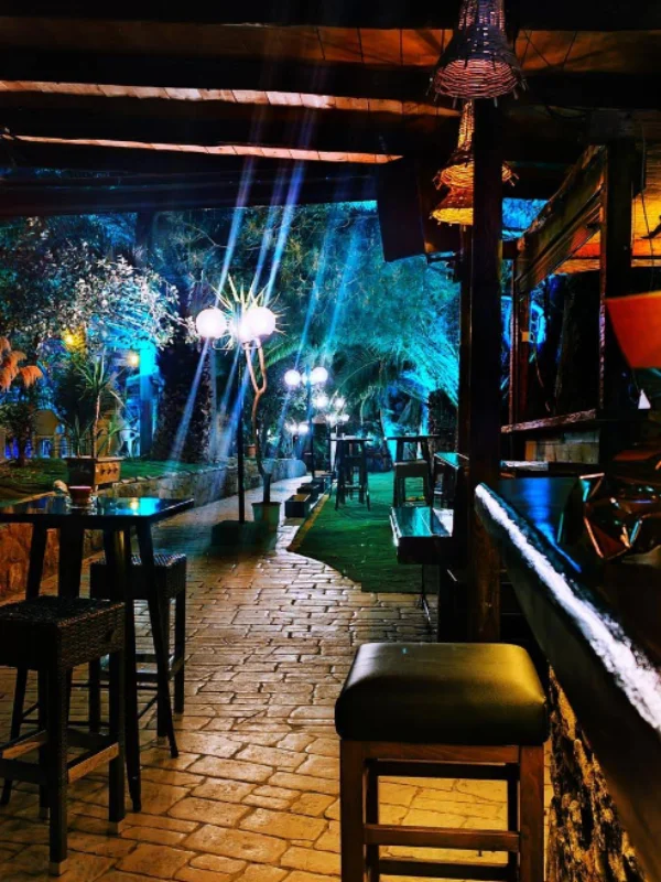 Jungle Paradise