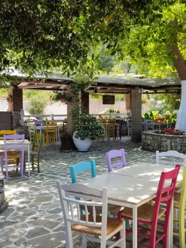 ΤΟ ΠΕΤΡΙΝΟ (1)
